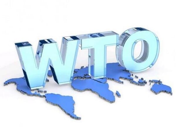 Việt Nam gia nhập WTO vào năm nào