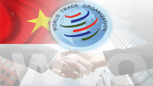 Việt Nam gia nhập WTO vào năm nào