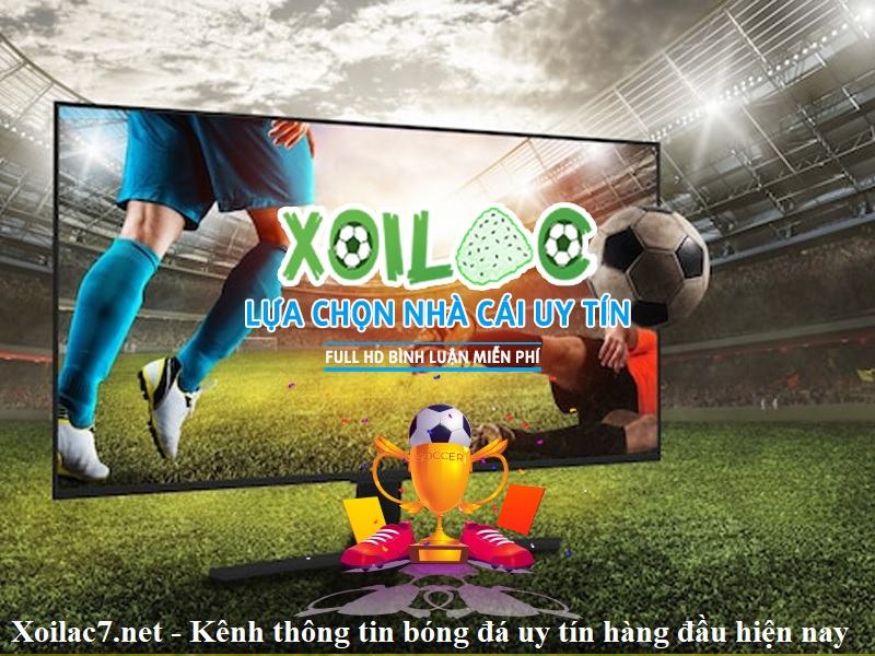 xoilac7-net-kenh-thong-tin-bong-da-uy-tin-hang-dau-hien-nay