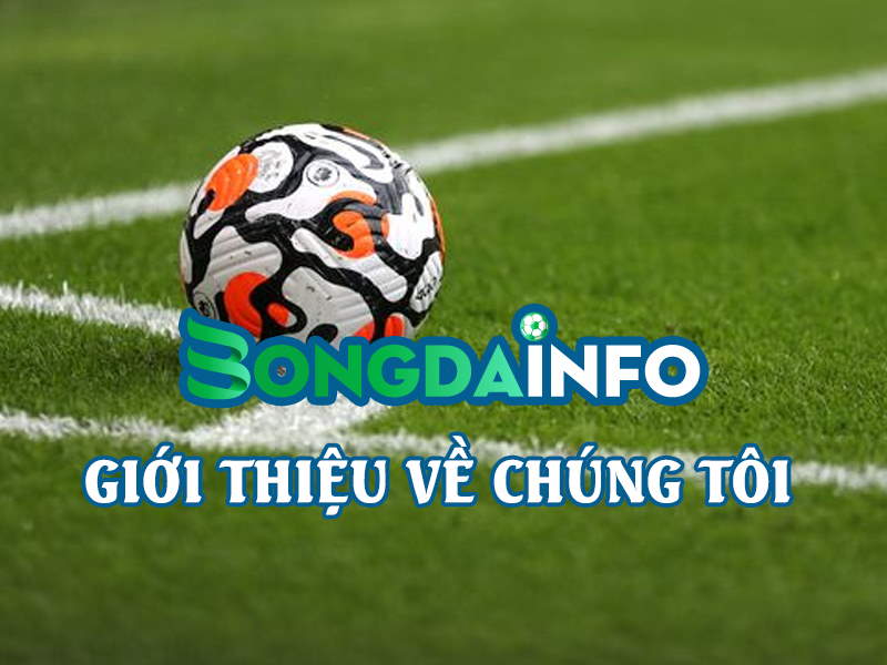 Giới thiệu khái quát về chuyên trang Bóng đá INFO